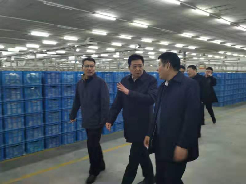 圖一 圖一